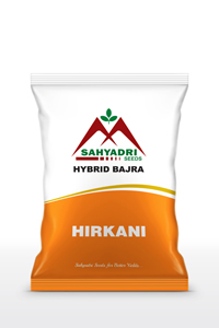 Sahyadri Bajra Hirkani Pouch